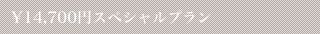 \14,700円スペシャルプラン